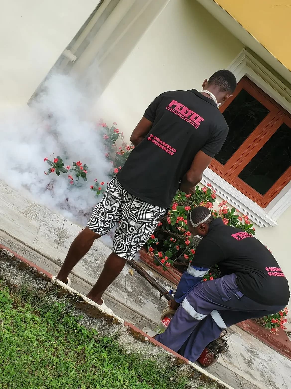 PeeFee fumigation and pest control service